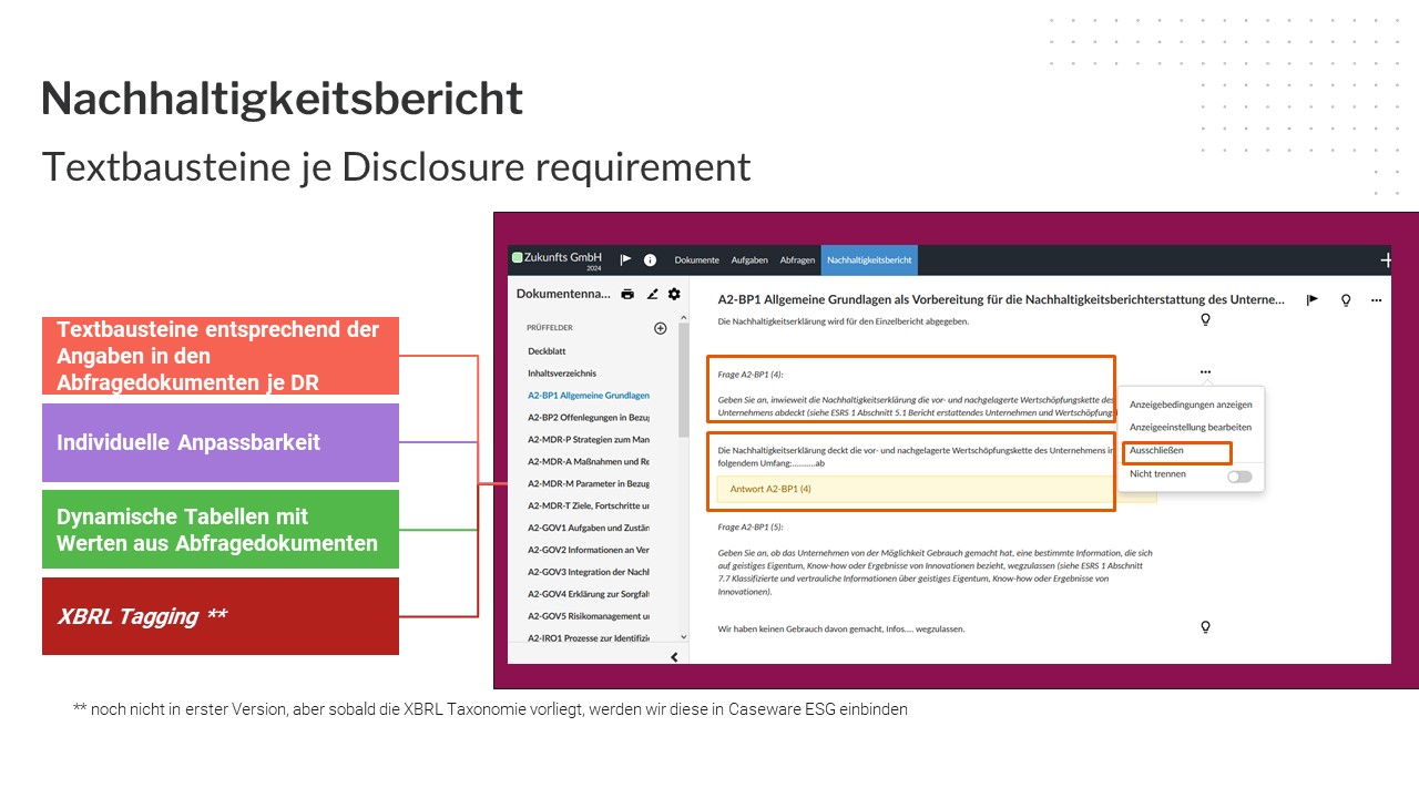 Caseware ESG Bericht