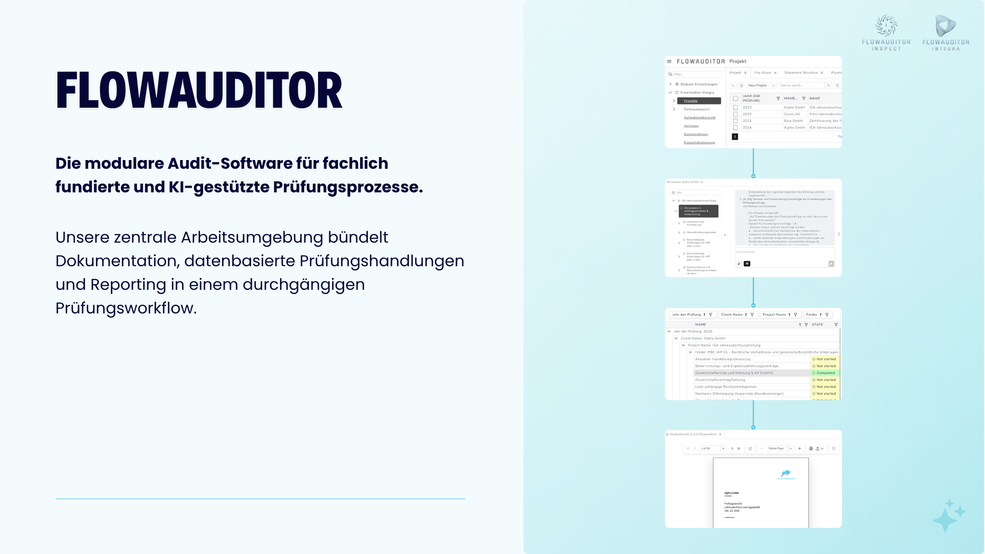 FlowAuditor: Audit Solution Suite