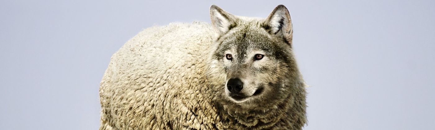 Cybercrime_aktuelle_Bedrohungslage_Teaser