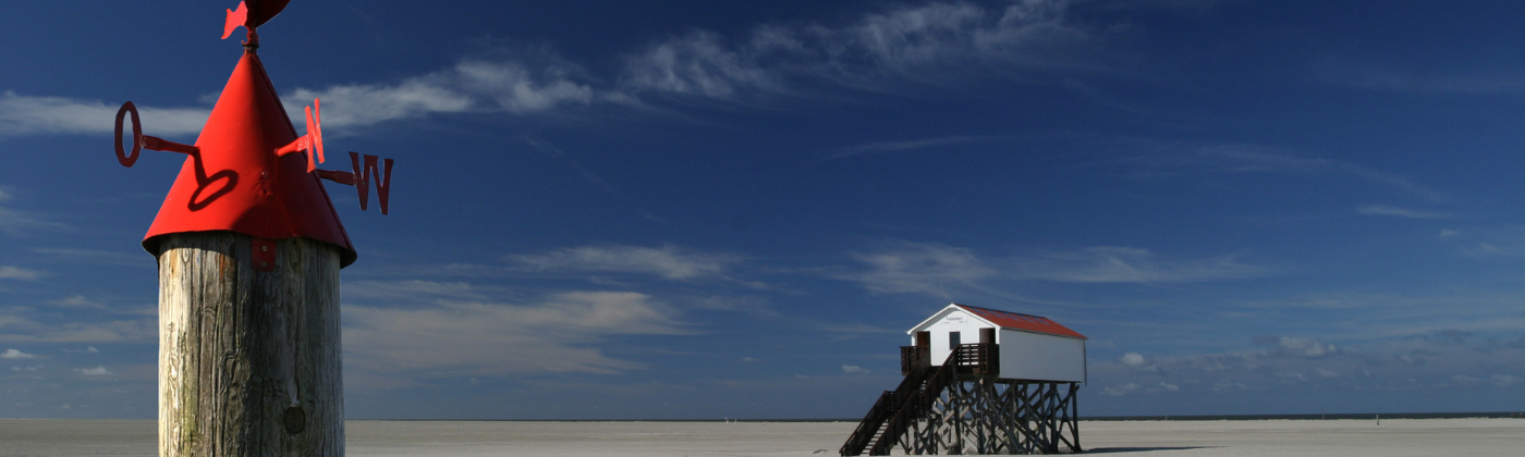 Projektpruefung_Header