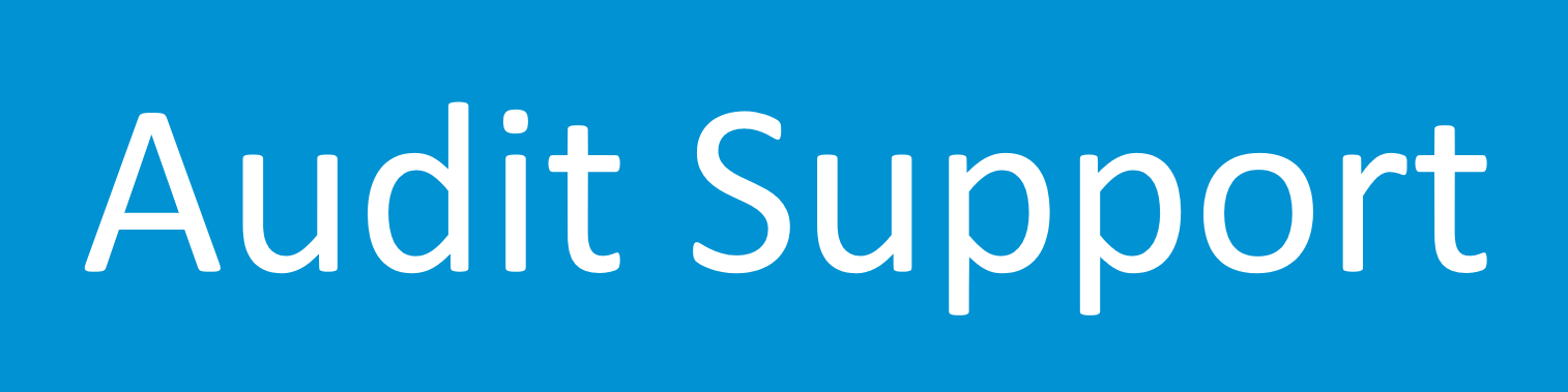 Audit Support