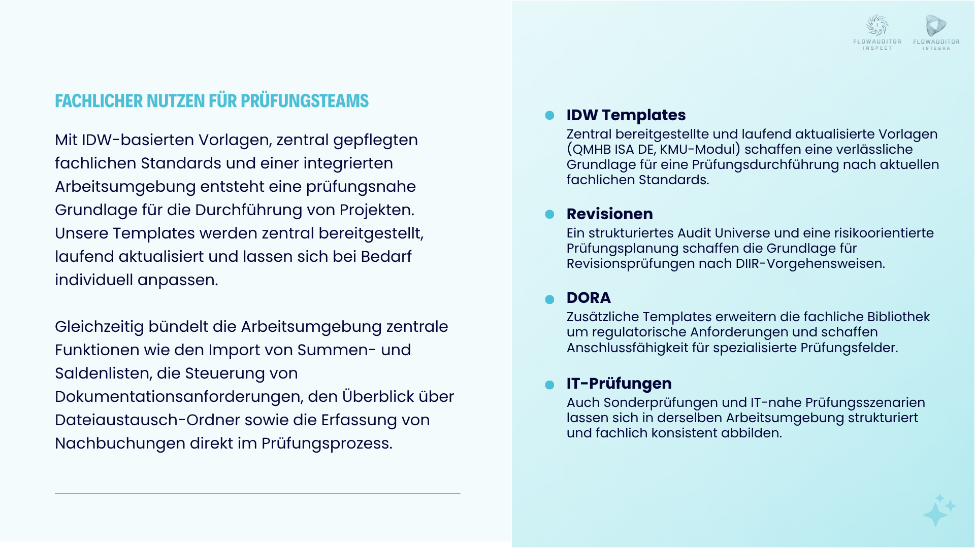 FlowAuditor: Audit Solution Suite