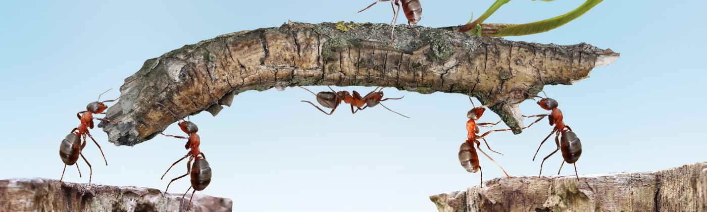 Digitalisierung_gemeinsam_stemmen_Header