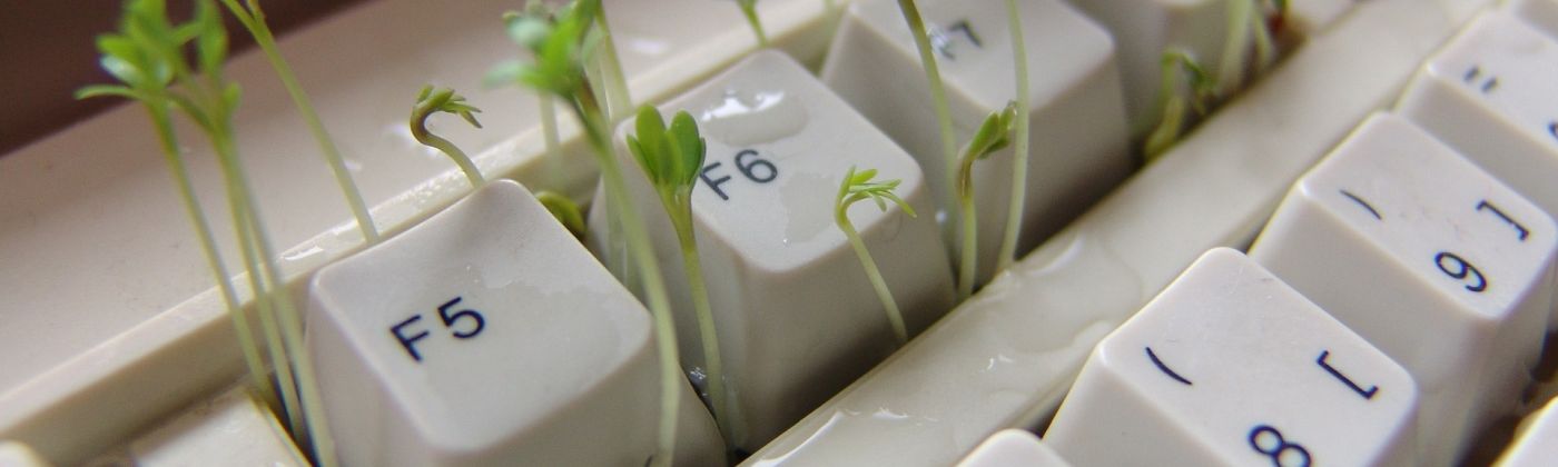 Digitale_und_gruene_Transformation_Header