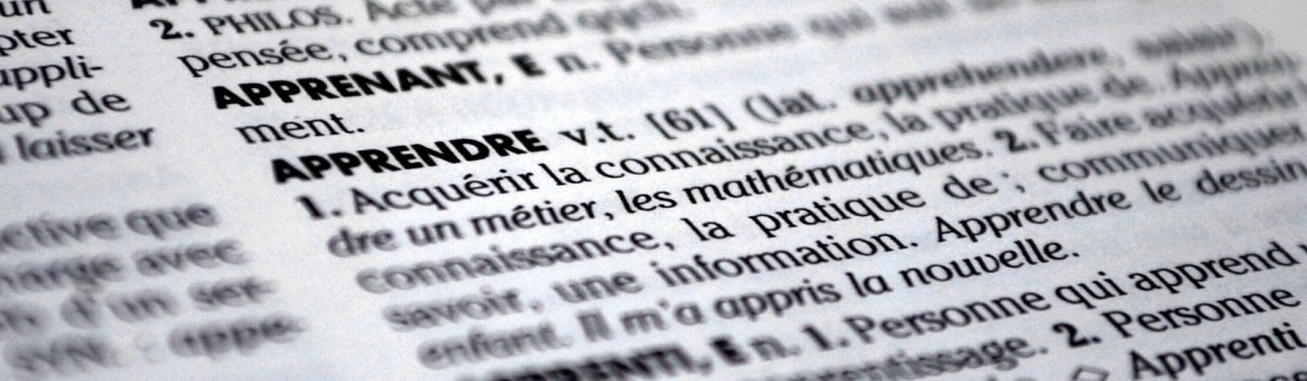 Die_wichtigsten_Fachbegriffe_Big_Data_Headerx420