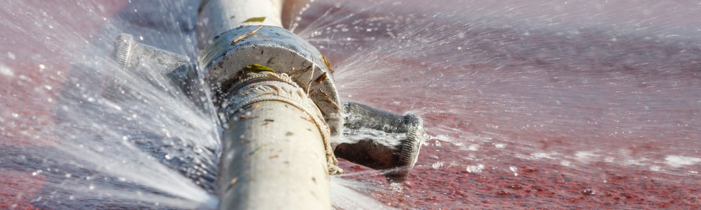 IT_Schwachstellen_KMU_Header