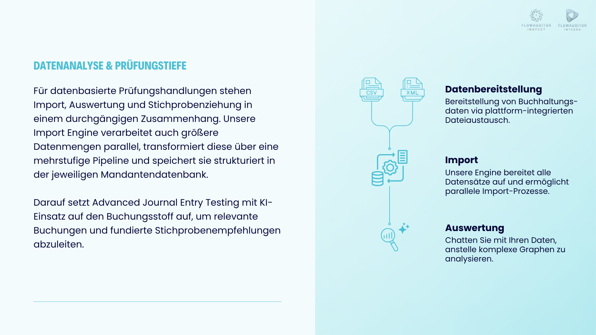 FlowAuditor: Audit Solution Suite