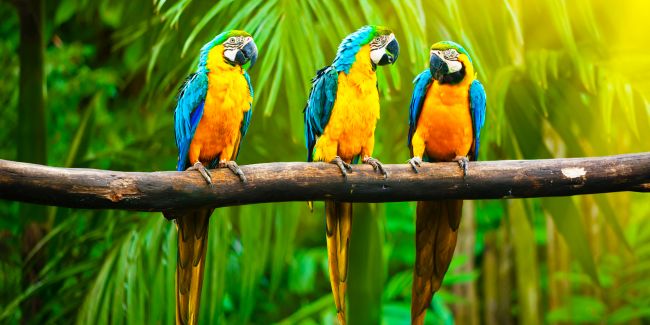 ChatGPT_und_Wirtschaftspruefung_Teaser