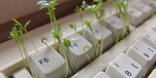 Digitale_und_gruene_Transformation_Teaser