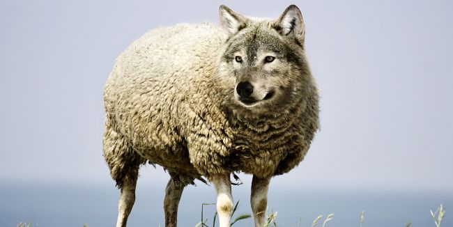 Cybercrime Aktuelle Bedrohungslage